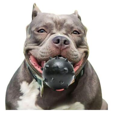 Imagem de Brinquedo Para Cães Cachorros Grandes Bola Bolinha Cravo Grande Maciça