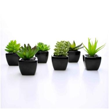 Imagem de Kit 06 Suculentas Artificial Sortida Vaso Preto Unidades 6x6 Cm - DROS