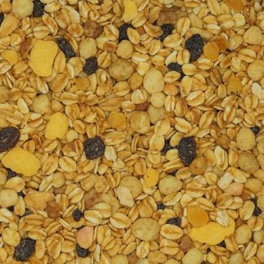 Imagem de Granola Premium com Frutas Selecionadas Premium Alta Qualidade 100g - 