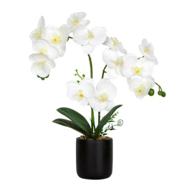 Imagem de Bloom Life Orquídea artificial em vaso de cimento, 13 flores Phalaenopsis realistas com 3 hastes, arranjo de orquídea falsa de 45,7 cm de altura para decoração de casa/escritório/decoração de