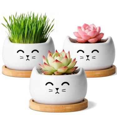 Imagem de T4U Vaso de flores de cacto suculento de cerâmica para gatos