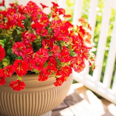 Imagem de 3 peças de flores artificiais ao ar livre, ipomeia simulada, adequada para ambientes internos e externos (vermelho)