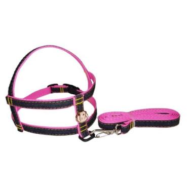Imagem de Conj. peitoral/ guia nylon jeans - Couraça Pet, Rosa, G