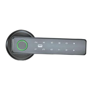 Imagem de FLCPJGV Fechadura de entrada sem chave Smart Lock, fechaduras de impressão digital com chaves físicas para hotéis, Cinza