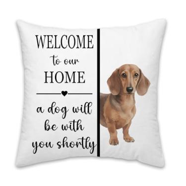 Imagem de LiTiu Capa de almofada divertida de dachshund, presentes para amantes de cães de dachshund, capas decorativas para varanda de sala de estar, bem-vindo à nossa casa, um cachorro estará com você em