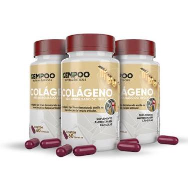 Imagem de Colágeno Tipo II não Hidrolisado 60cap Kempoo Nutracêuticos, 3