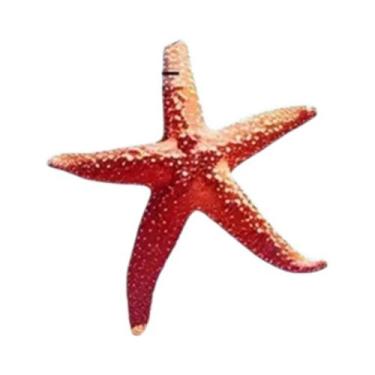 Imagem de Livro De Colorir Para Adultos: Montanhas E Rios Em Papel Grosso  Prese