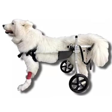 Imagem de Cadeira de rodas para cães média e grande para pernas traseiras - Carrinho de reabilitação de animais de estimação tamanho GG, andador de cães para Dachshund deficiente, auxílio de mobilidade para