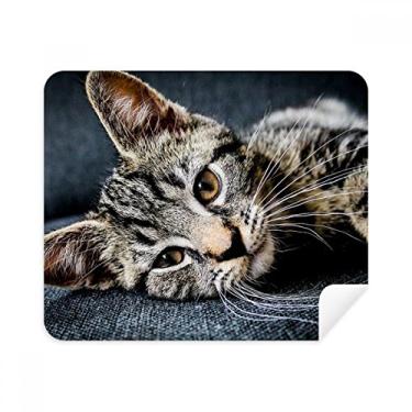 Imagem de Gato listrado gatinho animal relaxar adorável pano de limpeza limpador de tela 2 peças tecido de camurça