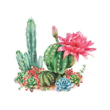 Imagem de Papel para Decoupage Opa Opapel – 2567 – Plantas e Cactos I