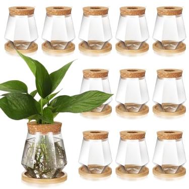 Imagem de Baderke 12 pacotes de vasos de propagação de plantas de plástico para propagação de plantas com tampa de furo e suporte de bambu para cultivo em água, hidropônico, casa, escritório, mesa, decoração