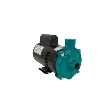 Imagem de Motobomba Standard 1/3cv 60Hz 110/220V ECS-33MP Eletroplas