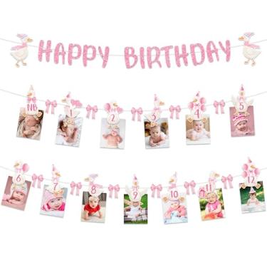 Imagem de Faixa de foto de 1º aniversário Pink Goose Tema de Ganso 12 meses Marcos Faixa de foto Guirlanda com suportes de fotos mensais Decorações de festa de primeiro aniversário para animais de fazenda