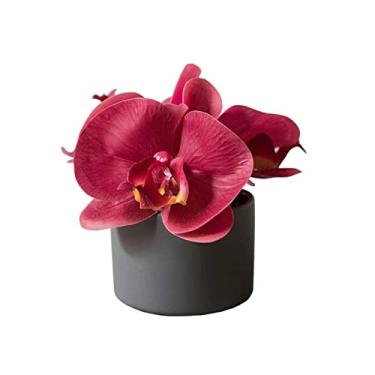Imagem de Plantas falsas mini phalaenopsis falsas plantas em vaso verde artificial plantas de casa verde interior casa escritório cozinha mesa centros de mesa 12 cm de altura plantas artificiais para decoração