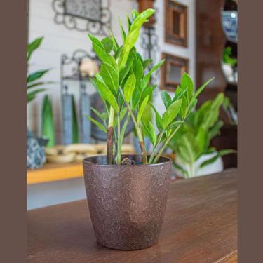 Imagem de 2 un Vaso plantas colmeia decorativo flores G MARROM ESCURO - EVO