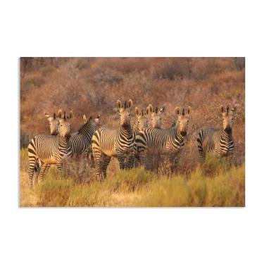 Imagem de SDYJ6GSW Imagens de animais em preto e branco para decoração de parede Zebra Animal Poster África Retrô Imagem de cavalo Pintura de arte de parede Zebra Decoração de parede para sala de estar 60 x 40