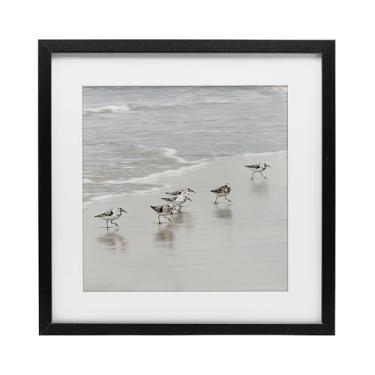 Imagem de Stupell Industries Impressão emoldurada preta de pássaros Sandpiper Scurrying Design sob vidro por Natalie Carpentieri, 33 x 33