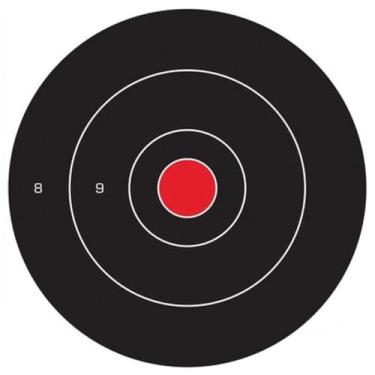 Imagem de Birchwood Casey Pássaro sujo não adesivo com alvos grandes para prática de tiro para uso interno e externo, 43,8 cm - 5 alvos