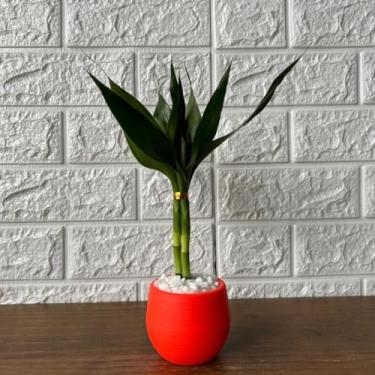 Imagem de Bonsai Decorativo Artificial com Planta Artificial Tipo Bambu, Vaso de Planta Colorido para Decoração de Sala, Escritório e Ambiente Interno (Vermelho)
