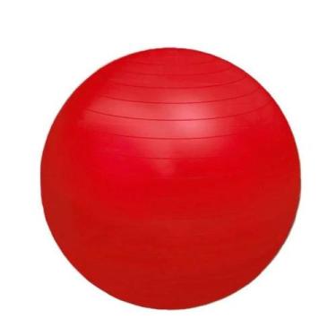 Imagem de Bola De Exercícios Fisioball Fisiopauher Vermelha 55 Cm Fg20 - Ortho P