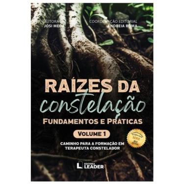 Imagem de Raízes Da Constelação Fundamentos E Práticas - Vol. 1