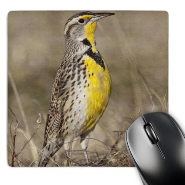 Imagem de 3dRose Pássaro ocidental Meadowlark Bird, Oklahoma - US37 LDI0029 - Larry Ditto - Mouse pad, 20 x 20 cm (mp_93400_1)