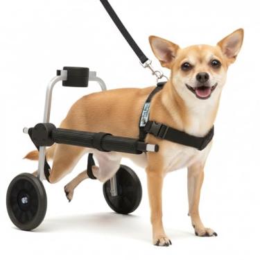 Imagem de Cadeira de 2 Rodas para Cachorro Tamanho Micro Carrinho Regulável Pata Traseira Paraplegia Paralisia Idoso Reabilitação