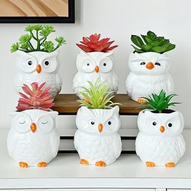 Imagem de ETAKISH Vaso de coruja – Pacote com 6 vasos de cerâmica para suculentas com drenagem e bandeja de bambu, lindos vasos de flores de coruja para plantas de interior, vasos pequenos para cacto, ervas