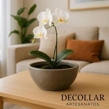 Imagem de Vaso Bacia Marmorizada 1 para plantar ideal para plantas decorativas naturais e artificiais área interna e externa indicado para mesa de centro, balcão, recepção. (bege marmorizado)