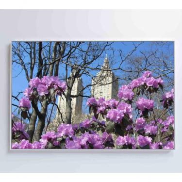 Imagem de Quadro Flores Central Park 60x40 Cm Adesivo Fotográfico
