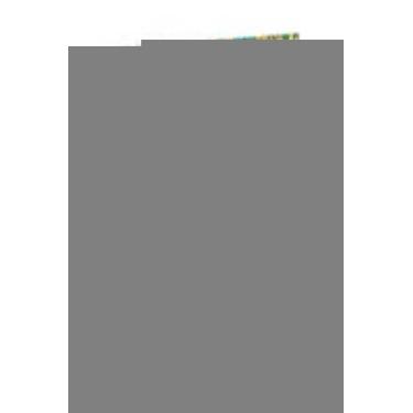 Imagem de Um Passeio Seguro - DSOP DIDATICO, 3