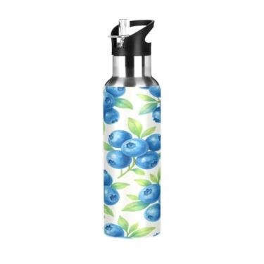 Imagem de Blueangle Garrafa de água de aço inoxidável com padrão de mirtilo aquarela de 590 ml - Garrafa esportiva de metal isolada à prova de vazamento para academia, acampamento, fitness ao ar livre e viagens