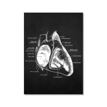 Imagem de Fundo preto anatomia humana arte médica impressões em tela imagens esqueleto músculo pôster vintage educação pintura arte decoração de parede (SKU13,20.3x30.5 cm = (20x30 cm), sem moldura)