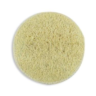 Imagem de Bucha Vegetal Biodegradável Caixa P Banho - Fibraforte - Fibra Forte