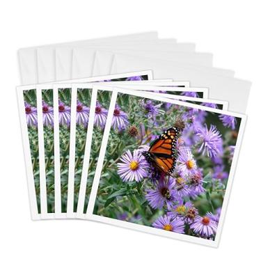 Imagem de 3dRose Cartões comemorativos, Flores Borboleta Monarca Laranja Roxo, Conjunto de 6 (gc_27269_1)