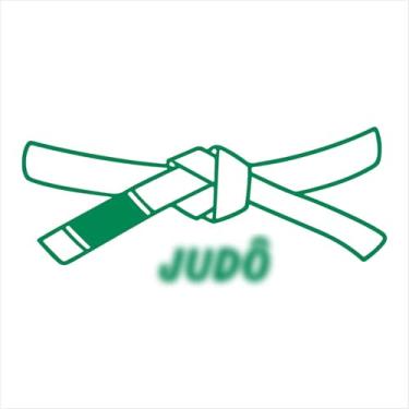 Imagem de Adesivo Faixa Judô Decorativa: Evolução, Energia, Estilo, OSS, Kimono (VERDE, 94x40 cm)