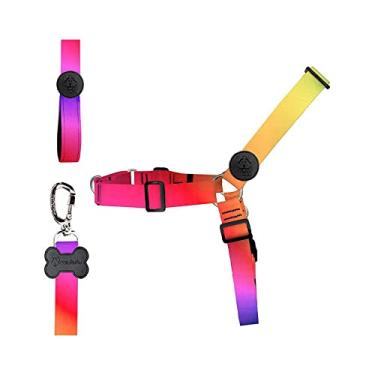 Imagem de Peitoral Anti Puxão com Guia MeuAuAu Citrus