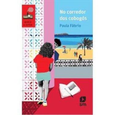 Imagem de No corredor dos cobogos - SM (PARADIDATICOS), 3