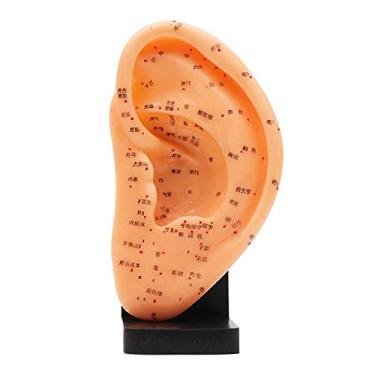 Imagem de DSeenLeap Modelo anatômico de ensino, modelo anatômico de acupuntura de orelha humana de 23 cm com pontos de acupuntura auxiliares de anatomia material escolar de laboratório