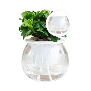 Imagem de Vaso De Flor Redondo Mini Transparente Para Suculentas, Plantas-Aranha