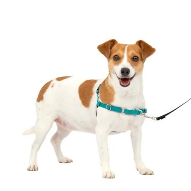Imagem de PetSafe Coleira Para Cães Easy Walk Dog Arnês Para Cães Sem Puxar Small Ewh-Hc-S-Tel