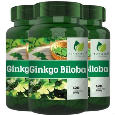 Imagem de 3 Potes Ginkgo Biloba Kit 360 Cáps - Fonte Verde