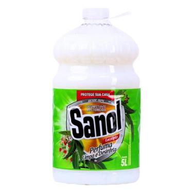 Imagem de Desinfetante eucalipto 5l sanol (2023)