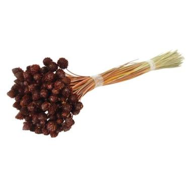 Imagem de Planta Seca Botão Pimentinha Laranja - Pense Flores