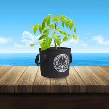 Imagem de VASO DE FELTRO GROW BAG CULTIVANDO SUSTENTO 11 LITROS PARA CULTIVO INDOOR E OUTDOOR COM ALÇA RESISTENTE