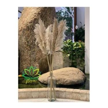 Imagem de Vaso Garrafa De Vidro Pampas 48cm Importado Decoração Luxo - FLORA FUL