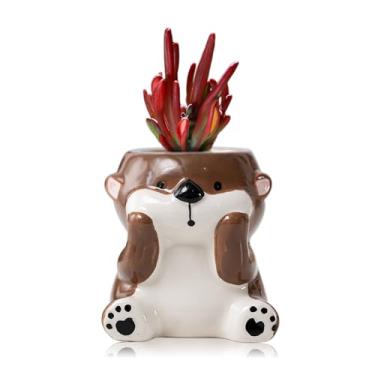 Imagem de DIYOMR Vaso de animais fofos, mini vaso de flores suculentas de cerâmica em forma de animal, suporte de plantas de ar interno, plantador de cacto decorativo liso e brilhante - plantas não incluídas