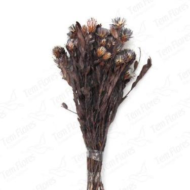 Imagem de Arapurama Lilás Desidratado Buque Flores Secas - Tem Flores