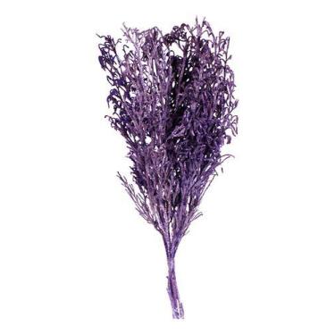 Imagem de Pé de Sapo Lilás Desidratado p/ Decoração - Pense Flores