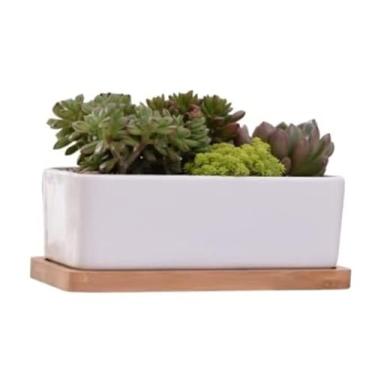 Imagem de Vasos de plantas, suporte de flores, 1 peça de vaso de plantas suculentas, suporte de flores, vaso de flores, vaso de flores, mini vaso de plantas suculentas